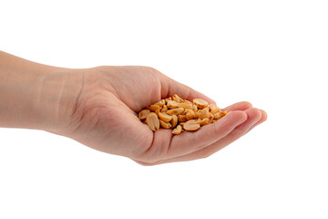Fototapeta premium Hand holding heap of salt roasted peanuts on transparent background