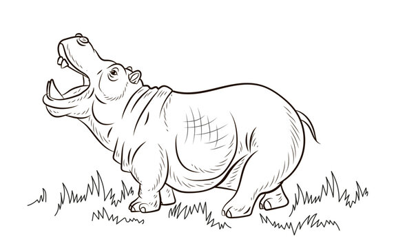 An image of an African hippo. Black and white drawing, coloring book for children. Vector drawing.