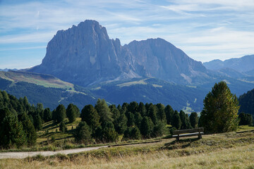 Amazing view to distinctive and famous sassolungo peak and group in the gardena valley in the dolomites. Perfect day for hiking with clear blue sky. Alto adige, South Tyrol Italy 