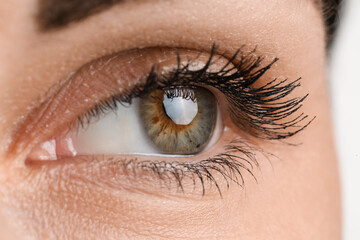 Young woman with beautiful hazel eyes on white background, closeup