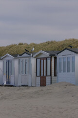 Naklejka premium Sand dunes and ocean grass on empty beach on sunny day with blue sky