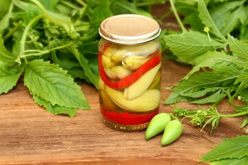 Homemade pickled achocha, Cyclanthera pedata, with chilli peppers. Preserved jars with achocha surrounded by fresh plant of achocha with its fruit.