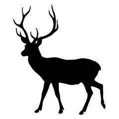 reindeer silhouette illustration christmas isolated