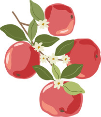 Hand drawn branch with flowers and fruits, garden harvest clipart, fruit garden concept