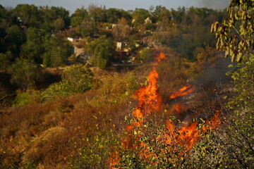 Fires in mountainous areas. Ignition of dry grass, shrubs and trees.