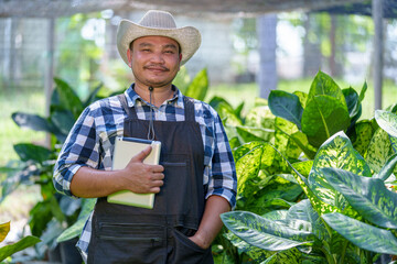 Asian Young man farmer in a greenhouse inspects gardener checking quality green leafy working on the farm in pots the greenhouse small business owner banner production concept.