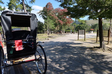 A Japanese park : a scene of the entrance to the access to the precincts of Todai-ji Temple at Nara-koen Park in Nara City in Nara Prefecture 　日本の公園 : 奈良市の奈良公園にある東大寺参道入り口の一風景