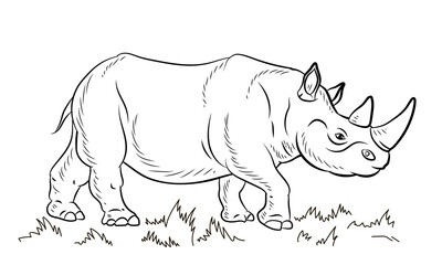 African animals, a large rhinoceros. Black and white image. Coloring book for children. Vector image.
