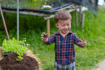 Portrait of Happy little boy organic vegetable farm is picking vegetables from a plot in a organic house.Education and healthy food concept.
