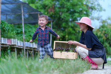 Obraz na płótnie Canvas Mother and son toddler boy on organic vegetable farm in summer.Mother with kid Harvesting Organic vegetable Cabbage and purple cabbage carrot on farm at home.Home school kid learning how to vegetable