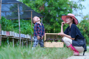 Mother and son toddler boy on organic vegetable farm in summer.Mother with kid Harvesting Organic vegetable Cabbage and purple cabbage carrot on farm at home.Home school kid learning how to vegetable