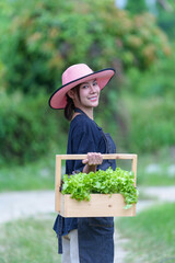 asian woman farmer holding basket full of fresh green vegetables salad in hydroponic farm Healthy food nutrition concept agriculture store owner concept woman holding a bucket full of fresh vegetables