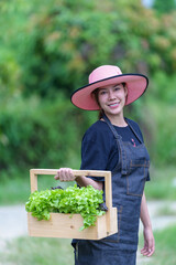 asian woman farmer holding basket full of fresh green vegetables salad in hydroponic farm Healthy food nutrition concept agriculture store owner concept woman holding a bucket full of fresh vegetables