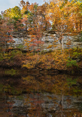 View of limestone bluff covered with colorful trees reflecting in water of the creek at its bottom in Midwestern park in fall at sunset