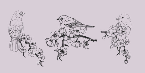 Hand Drawn Cherry Blossom Branch With Cute Birds. Vector image. 