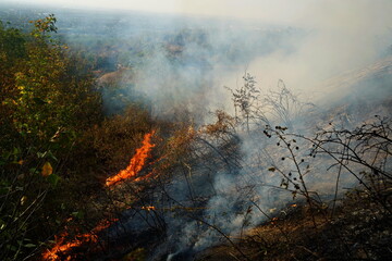 Fires in mountainous areas. Ignition of dry grass, shrubs and trees.