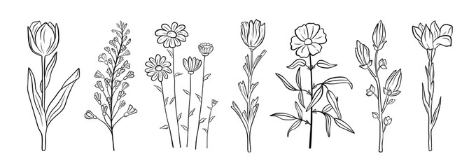 Hand drawn set of blooming flowers. Floral summer collection. Vector sketch elements isolated on white background. Decorative doodle illustration for greeting card, wedding invitation, fabric
