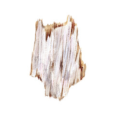 Watercolor bark illustration isolated on white background. Wood texture. Rustic design