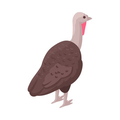 Isometric Turkey Illustration