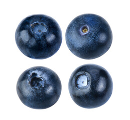 Blueberry collection isolated on transparent png