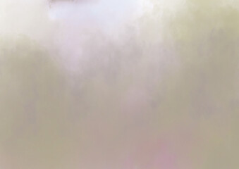 Obraz premium mist in the forest