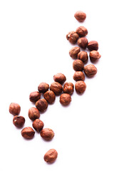 Hazelnut isolated on white background. Composition of nuts pattern. Top view. Flatlay