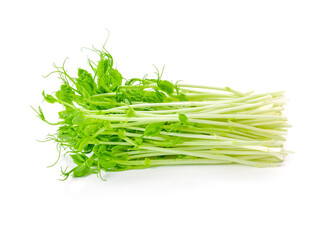 Snow pea sprouts on white background