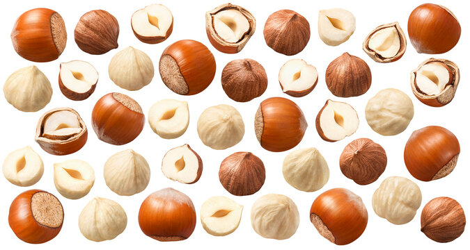 Set of whole, peeled and broken hazelnuts isolated on white background. Collection #3-3.