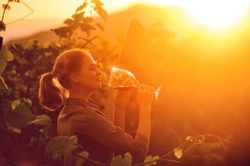 Young happy woman tasting glass of red wine in vineyard on sunset. Vinification, vine-growing and wine-tasting concept.