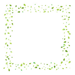 Leaves Green Falling Flying Foliage Leaf Tea Mint