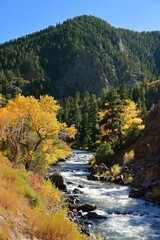 Beautiful fall scene with a mountain backdrop  next to the south platte river  in  waterton canyon, littleton, colorado  