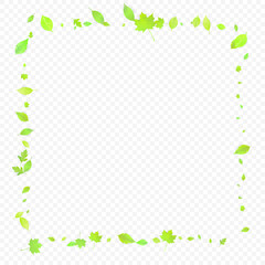 Leaves Falling Spring Flying Foliage Green Leaf