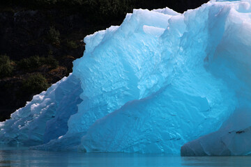 Iceberg in the Tracy Arm fjord in the Boundary Ranges of Alaska, United States  