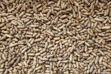 Raw peanuts background, texture. Health food