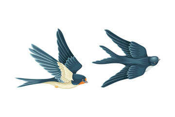 Obraz premium Swallow or Martin Passerine Bird with Long Tail and Pointed Wings Vector Set
