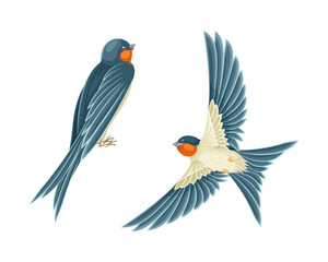 Swallow or Martin Passerine Bird with Long Tail and Pointed Wings Vector Set