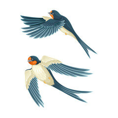 Naklejka premium Swallow or Martin Passerine Bird with Long Tail and Pointed Wings Vector Set