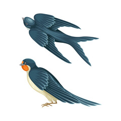 Swallow or Martin Passerine Bird with Long Tail and Pointed Wings Vector Set