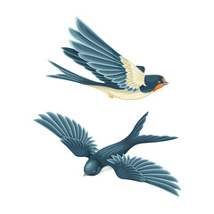 Fototapeta premium Swallow or Martin Passerine Bird with Long Tail and Pointed Wings Vector Set