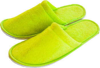 slippers  on itransparent solatet background png