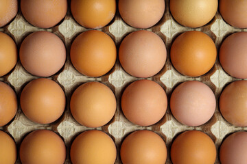Background of fresh chicken eggs in a cardboard tray