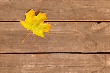 Yellow maple leaf on a wooden surface, top view. Design space