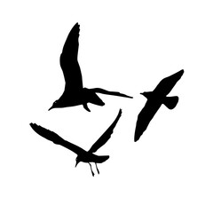 birds brush png for photoshop and illustrator 