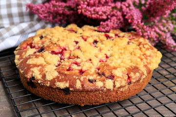 Traditional autumn blueberry seasonal cake.