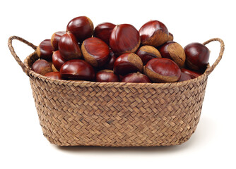 chestnut on a white background