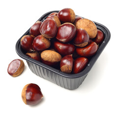 chestnut on a white background