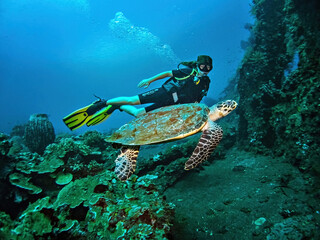 Young woman diver with a sea turtle on the coral reef in Tulamben dive site, Bali, Indonesia
