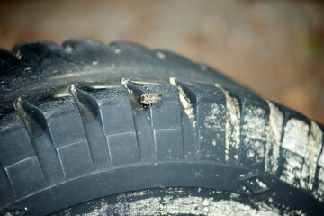 タイヤ・虫・カメムシ・マクロ