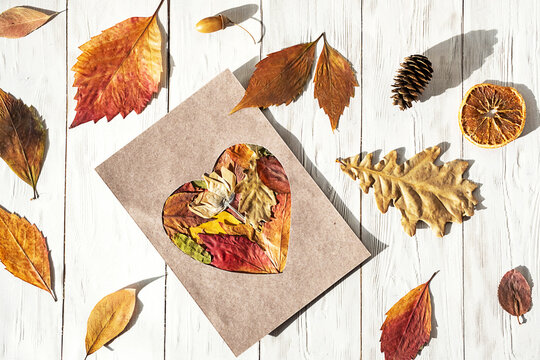 Herbarium From Fall Leaves With Heart Shape Paper Frame. Autumn Collage For DIY Project.