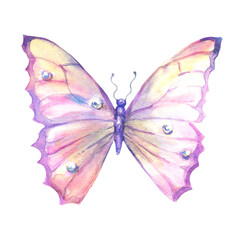 Watercolor multicolored butterfly , isolated on white background